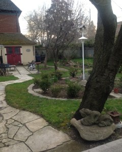 The garden bursting back to like. Can't wait to get my hands dirty with all the work that awaits!