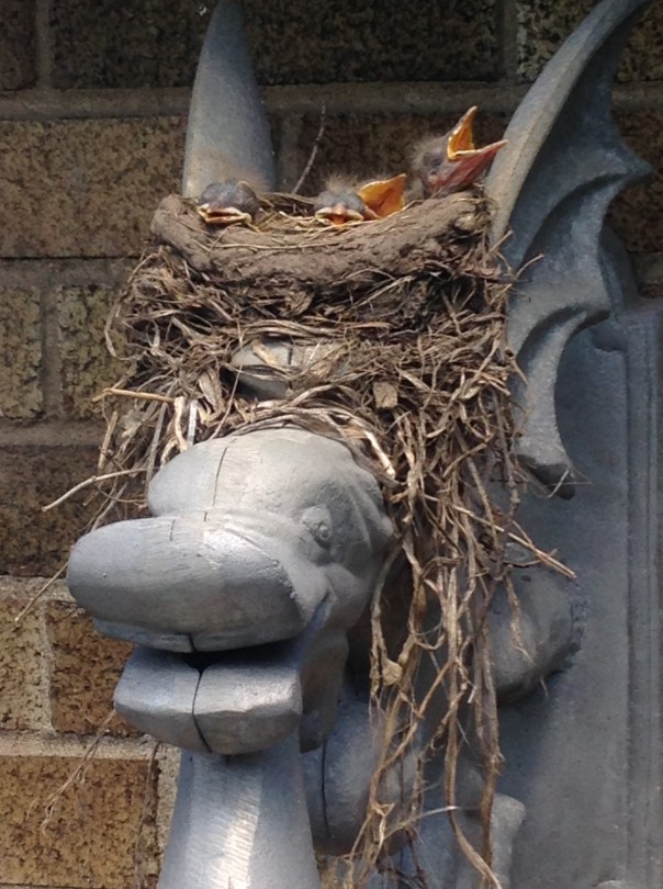 Spring has Finally Sprung!